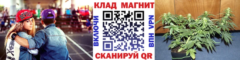 Купить наркоту Воткинск Псилоцибиновые грибы  Каннабис  A PVP  мега ССЫЛКА  Меф  MDMA  КОКАИН  ГАШ 