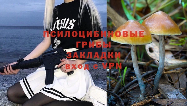 ешки Абаза