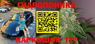 гидра Малгобек