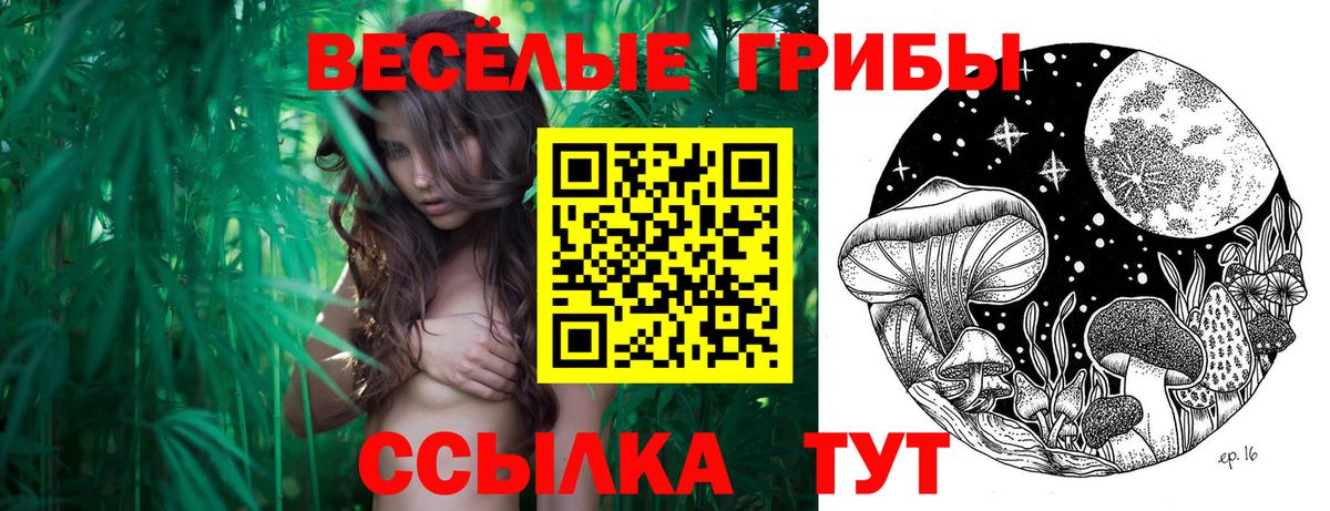 где можно купить наркотик  Псилоцибиновые грибы мицелий  Вход с VPN  Воткинск 