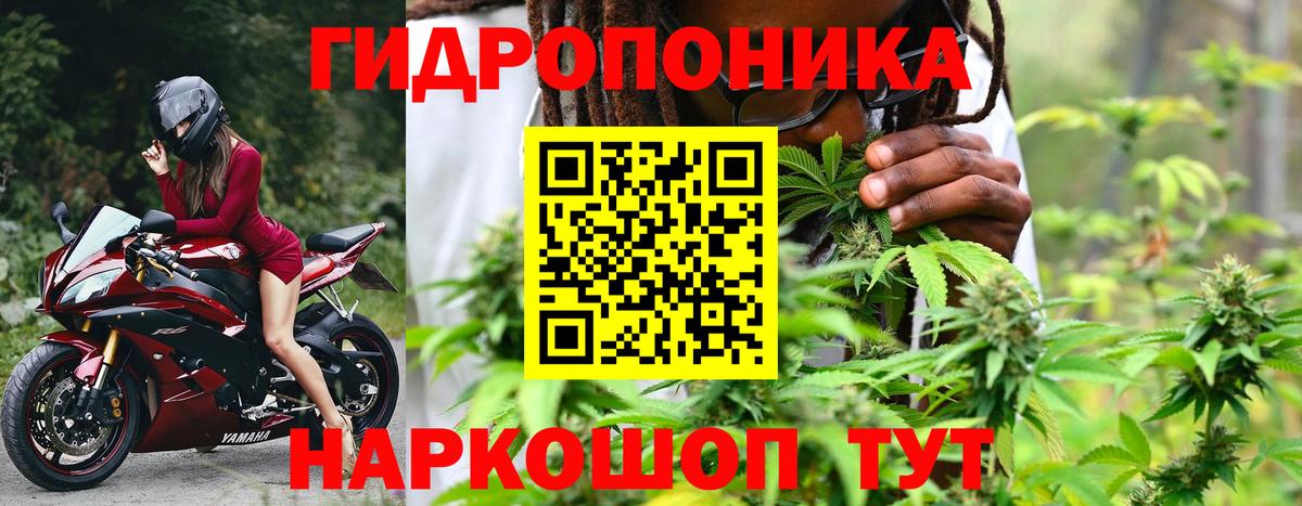 Бошки Шишки LSD WEED  МАРИХУАНА план  Воткинск  Канабис план  Марихуана SATIVA & INDICA  Вход с VPN 